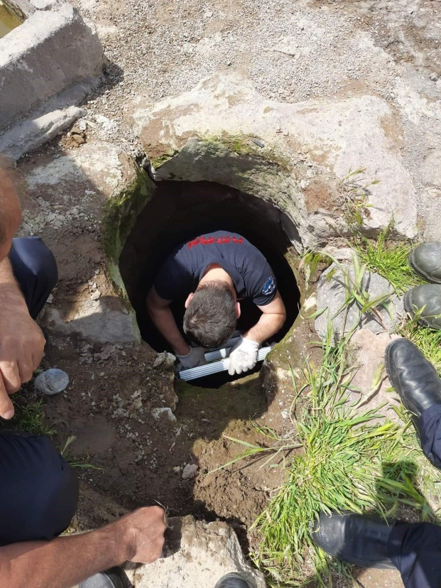 Kuyuya Düşen Yavru Kediyi İtfaiye Kurtardı