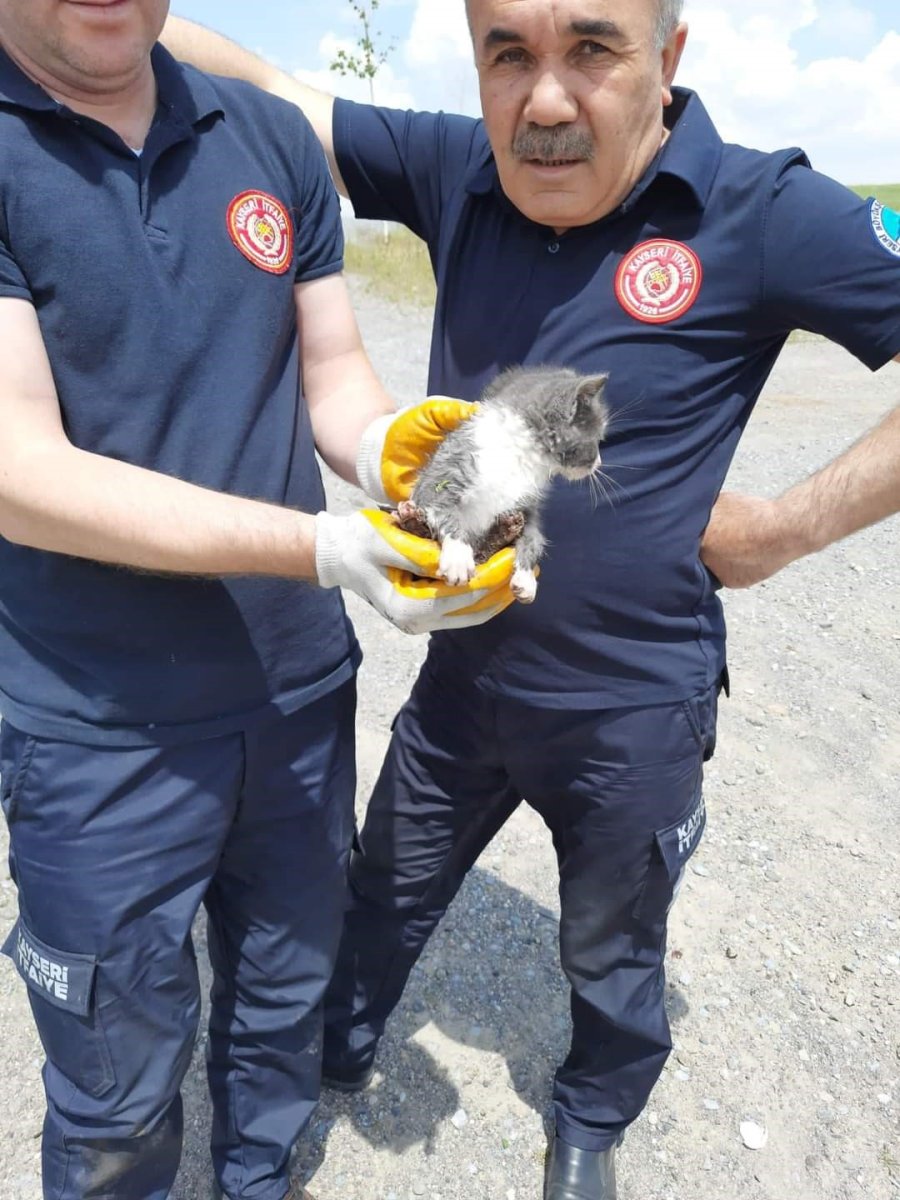 Kuyuya Düşen Yavru Kediyi İtfaiye Kurtardı