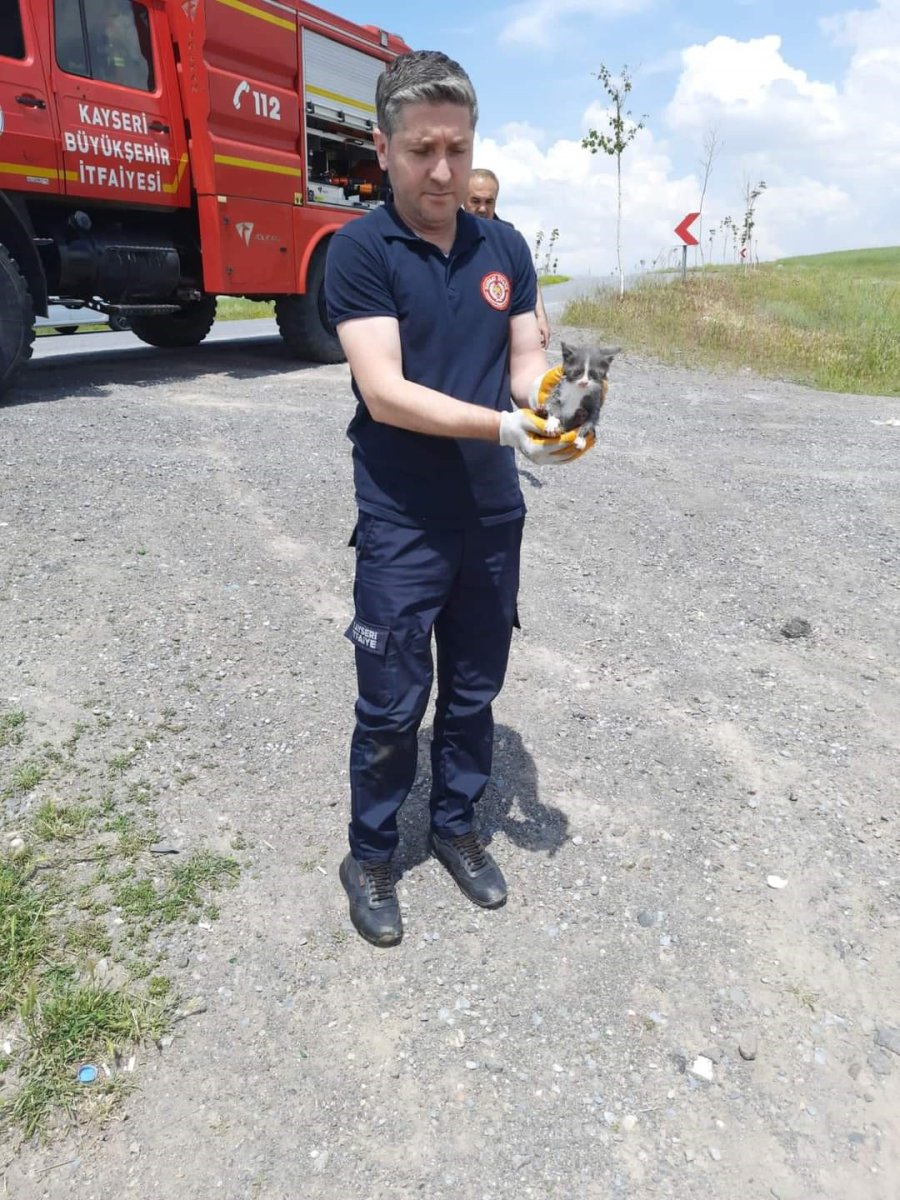 Kuyuya Düşen Yavru Kediyi İtfaiye Kurtardı