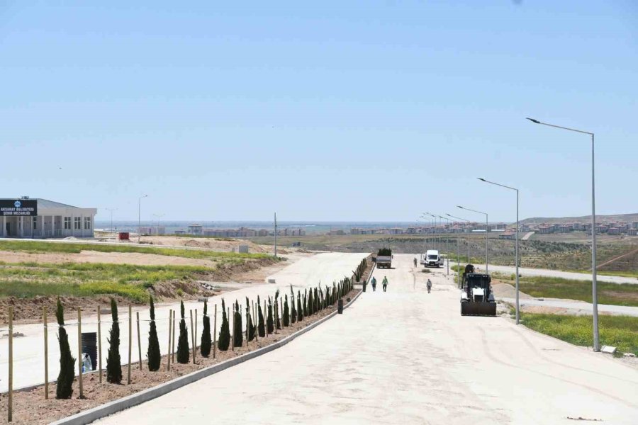 Aksaray’da Yeni Şehir Mezarlığı Ve Külliyede Ağaçlandırma Çalışması