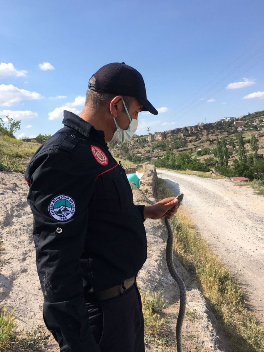 Yılanların Korkulu Rüyası: Yılan Kurtarma Timi