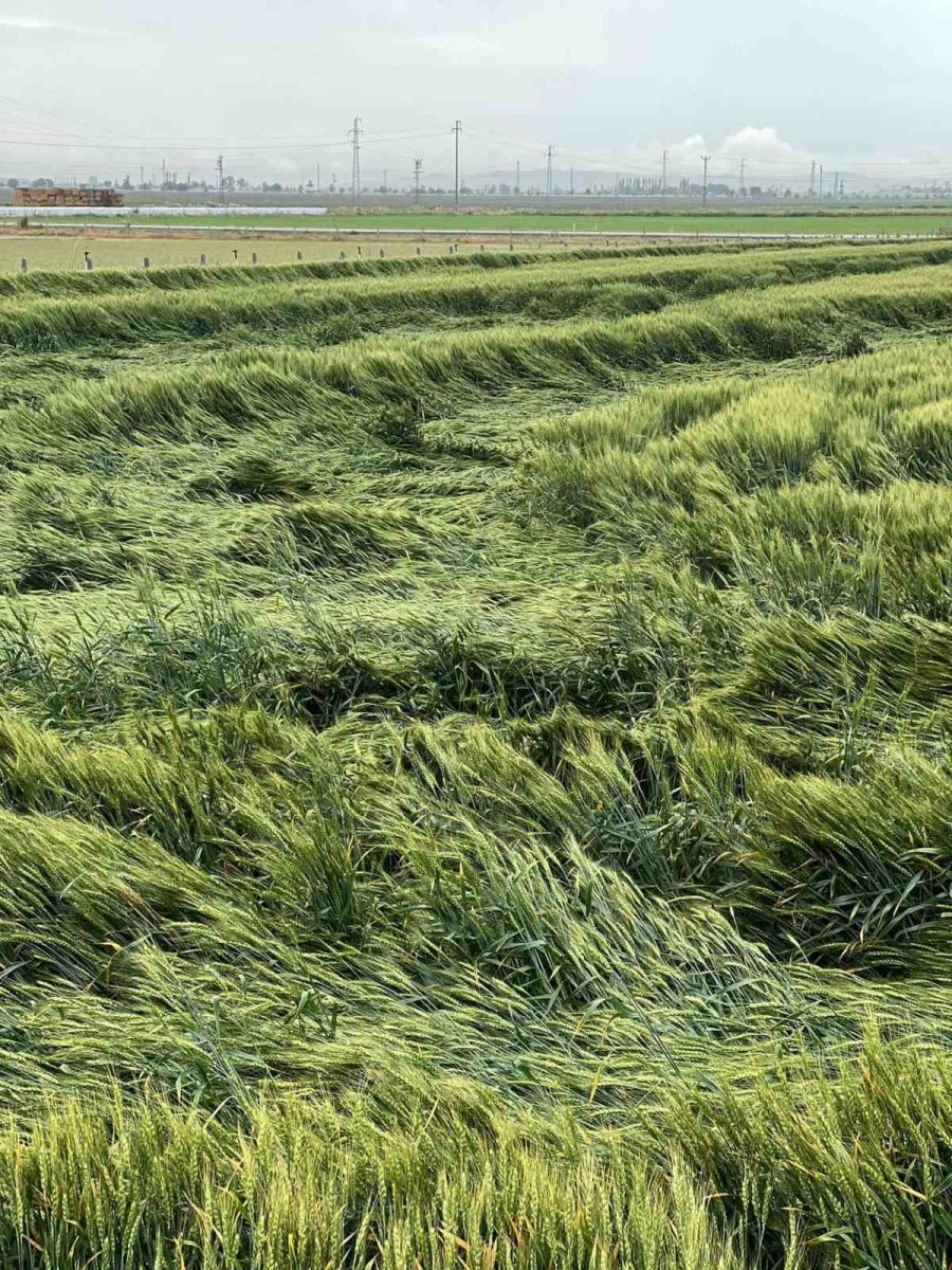 Karapınar’da Yağmur Yağışı Etkili Oldu