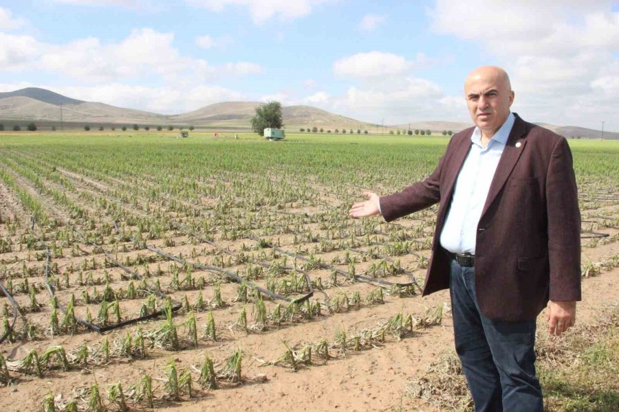 Karaman’da Dolu Ekili Arazilere Zarar Verdi, Tarlalar Kış Mevsimi Gibi Beyaza Büründü