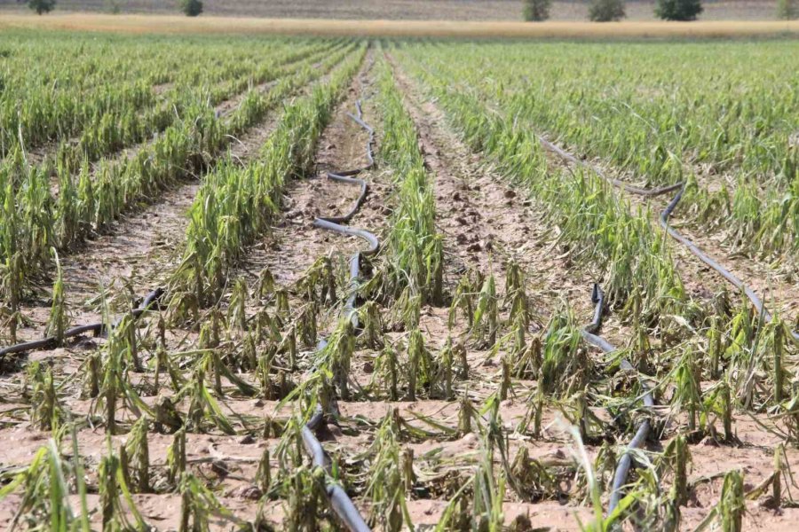 Karaman’da Dolu Ekili Arazilere Zarar Verdi, Tarlalar Kış Mevsimi Gibi Beyaza Büründü