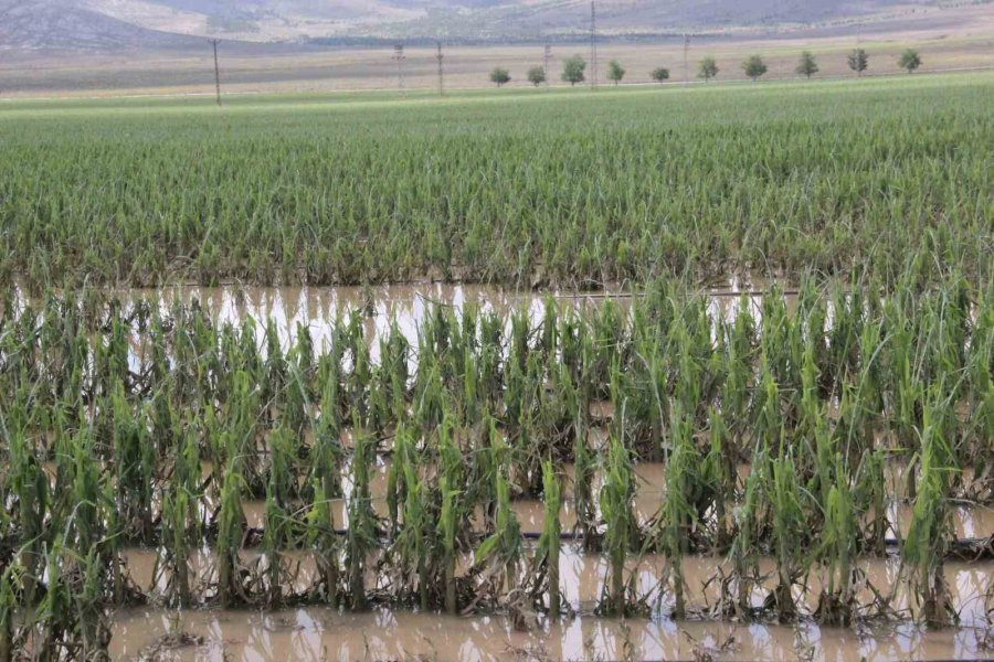 Karaman’da Dolu Ekili Arazilere Zarar Verdi, Tarlalar Kış Mevsimi Gibi Beyaza Büründü
