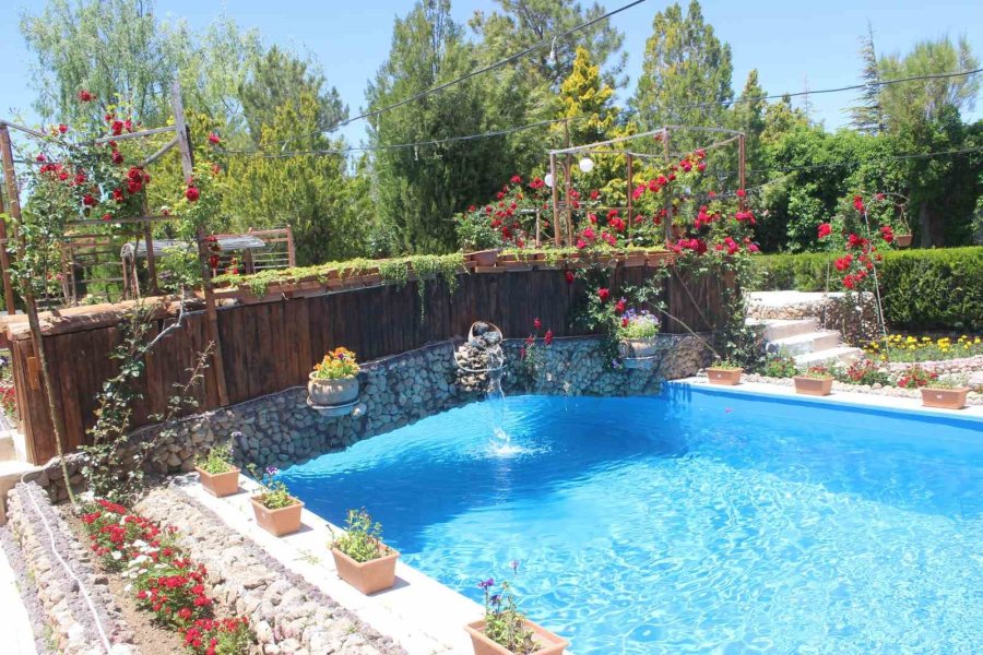 Çölleşmeyle Anılan Karapınar’da "vaha" Oluşturdu