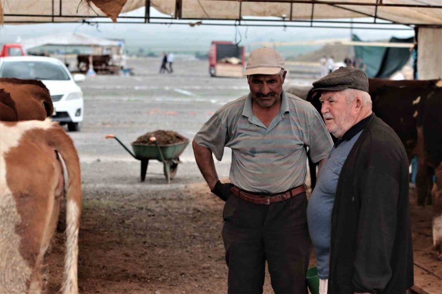 Kurbanlıklar Görücüye Çıktı, Sıkı Pazarlıklar Başladı