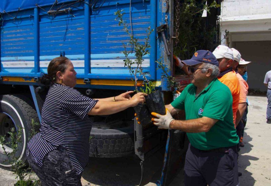 Mersin Büyükşehir Belediyesinin Üreticiye Desteği Sürüyor
