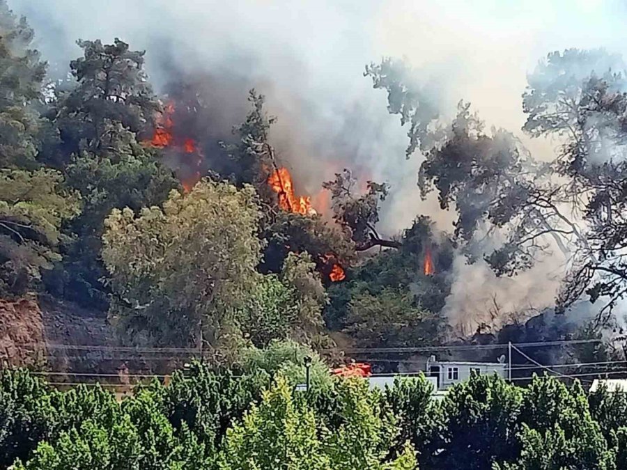 Antalya’da Konteyner Yangını Ormanlık Alana Sıçradı