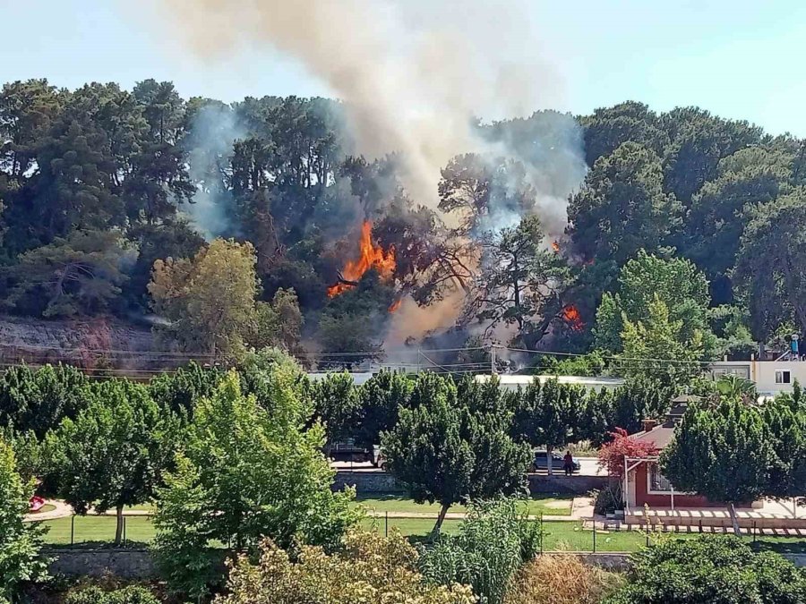 Antalya’da Konteyner Yangını Ormanlık Alana Sıçradı