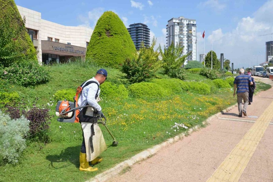 Yenişehir Belediyesi, Park Ve Yeşil Alanlarda Çalışmalarını Sürdürüyor