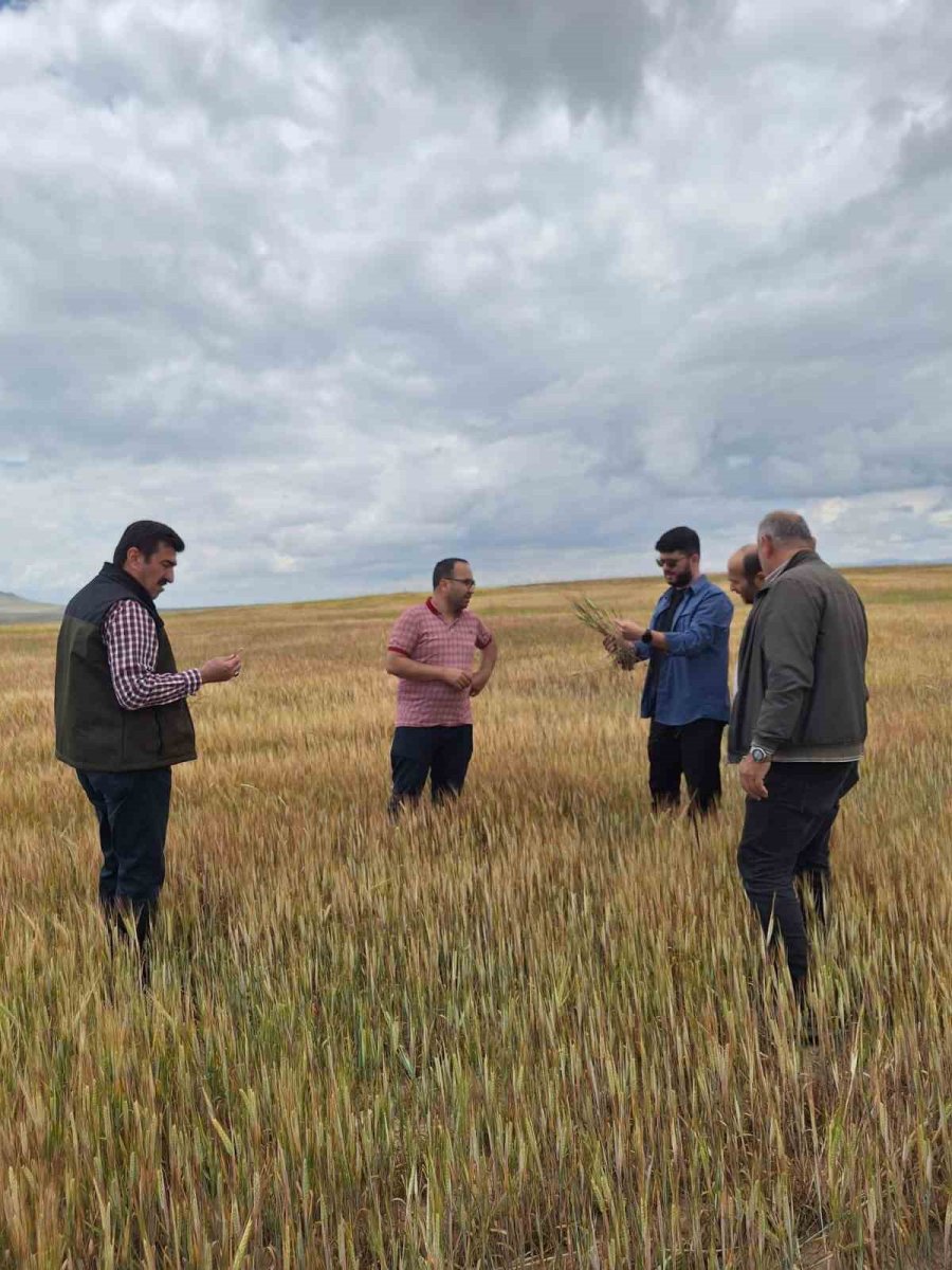 Tarım Alanlarında Hasar Tespit Çalışmaları Devam Ediyor