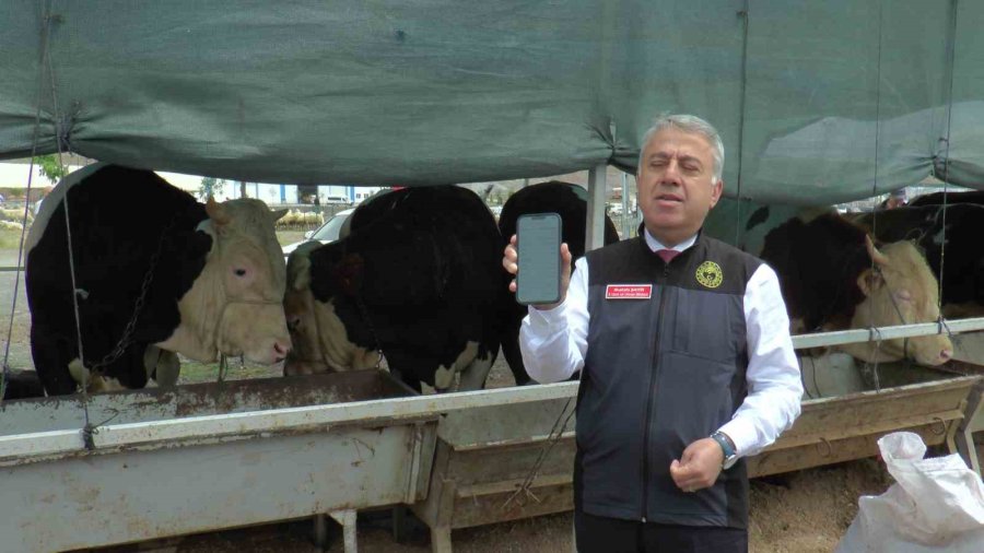 Mustafa Şahin: “vatandaşlarımız Uygulama Üzerinden Kurbanın Bütün Bilgilerine Ulaşabilir”