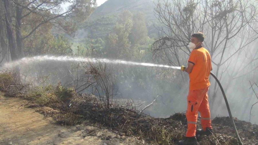 Mersin’de Bahçe Yangını Ormana Sıçramadan Söndürüldü