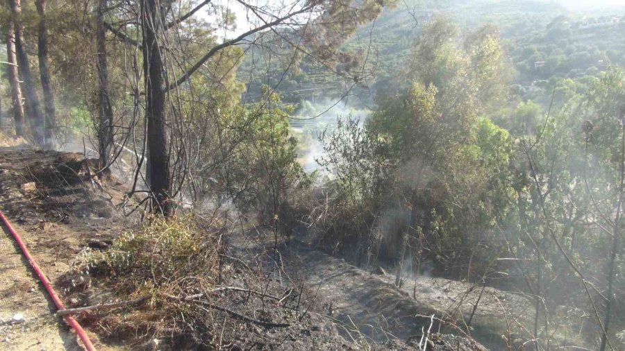 Mersin’de Bahçe Yangını Ormana Sıçramadan Söndürüldü