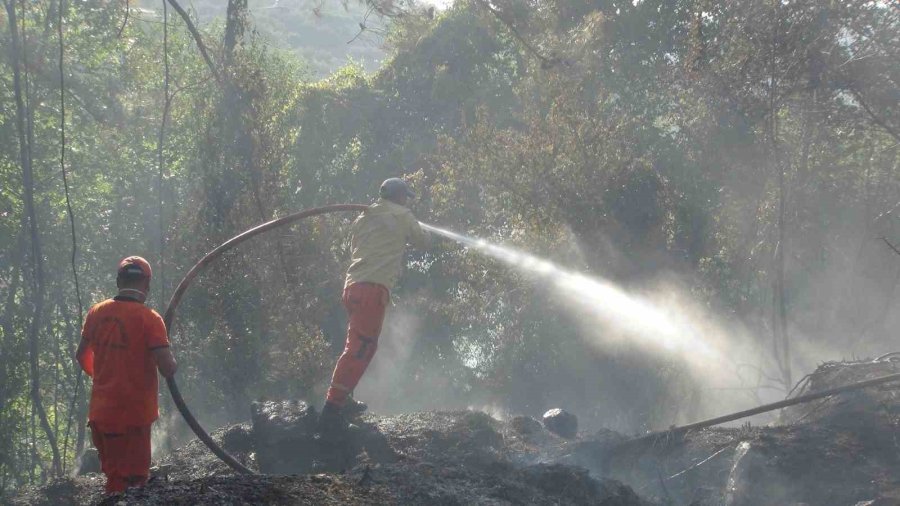 Mersin’de Bahçe Yangını Ormana Sıçramadan Söndürüldü
