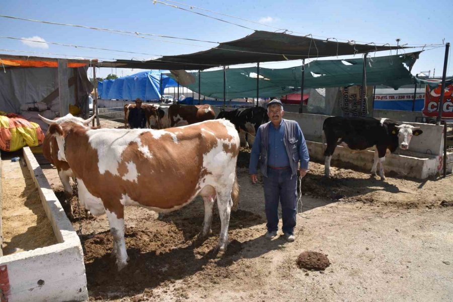 Selçuklu’da Kurban Satış Ve Kesim Yerleri Hazır