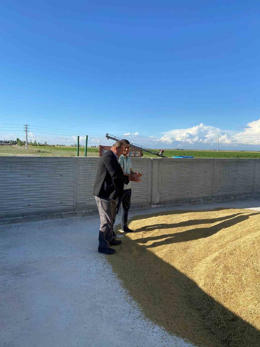 Karapınar’da Arpa Hasadına Başlandı