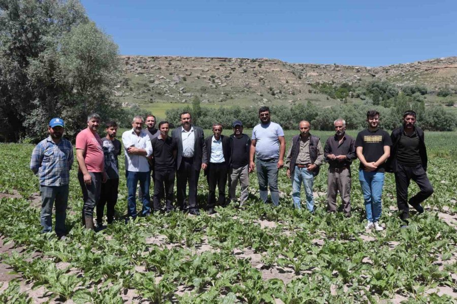 Çiftçiyi Elektrik Çarptı