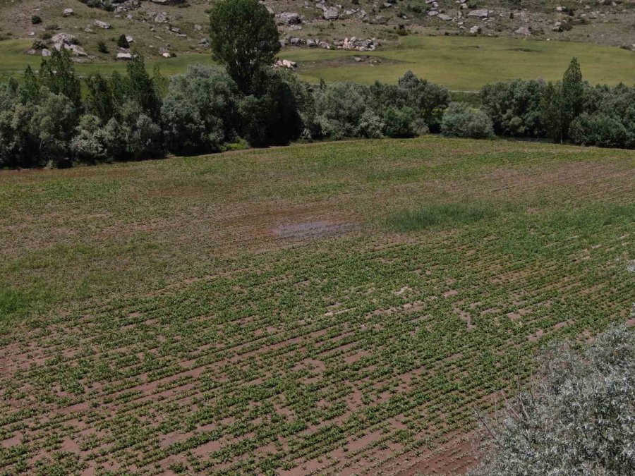 Çiftçiyi Elektrik Çarptı