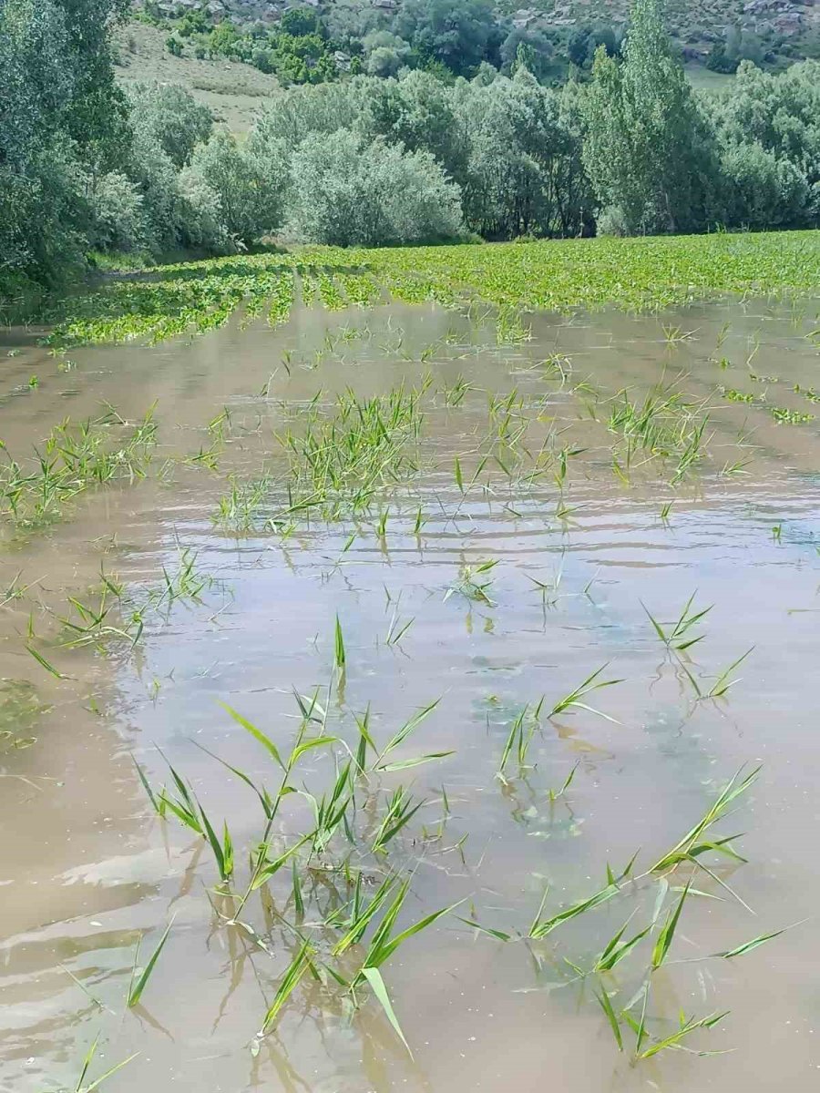 Çiftçiyi Elektrik Çarptı