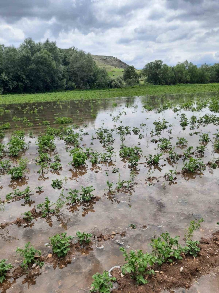 Çiftçiyi Elektrik Çarptı