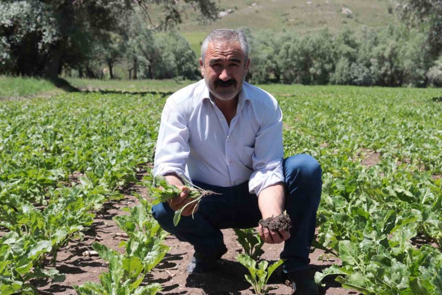 Çiftçiyi Elektrik Çarptı