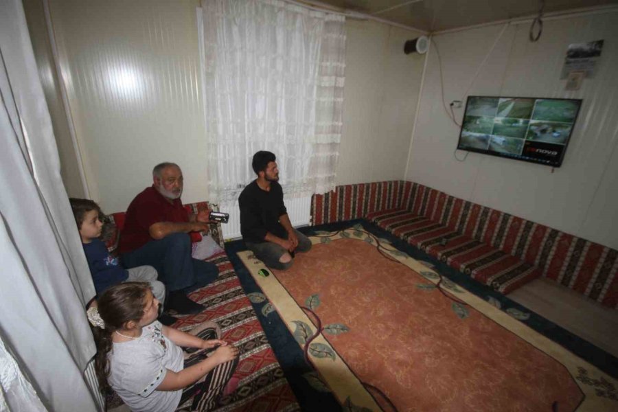 Çiftlikteki Köpeğe Saldıran Kurt Kamerada