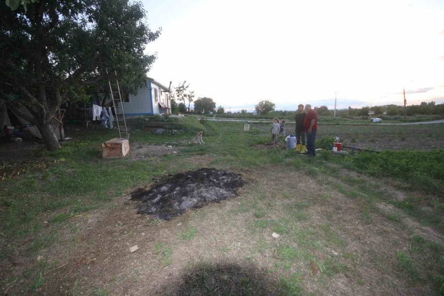 Çiftlikteki Köpeğe Saldıran Kurt Kamerada