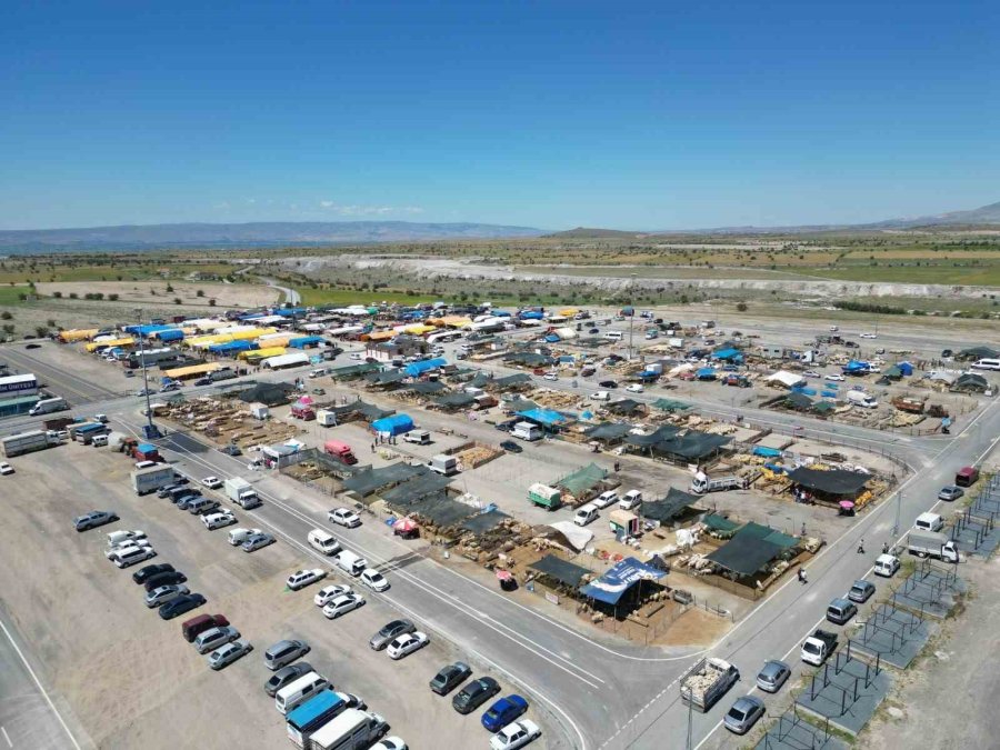 Başkan Palancıoğlu Kurban Pazarını İnceledi, Büyükbaş Pazarlığı Yaptı