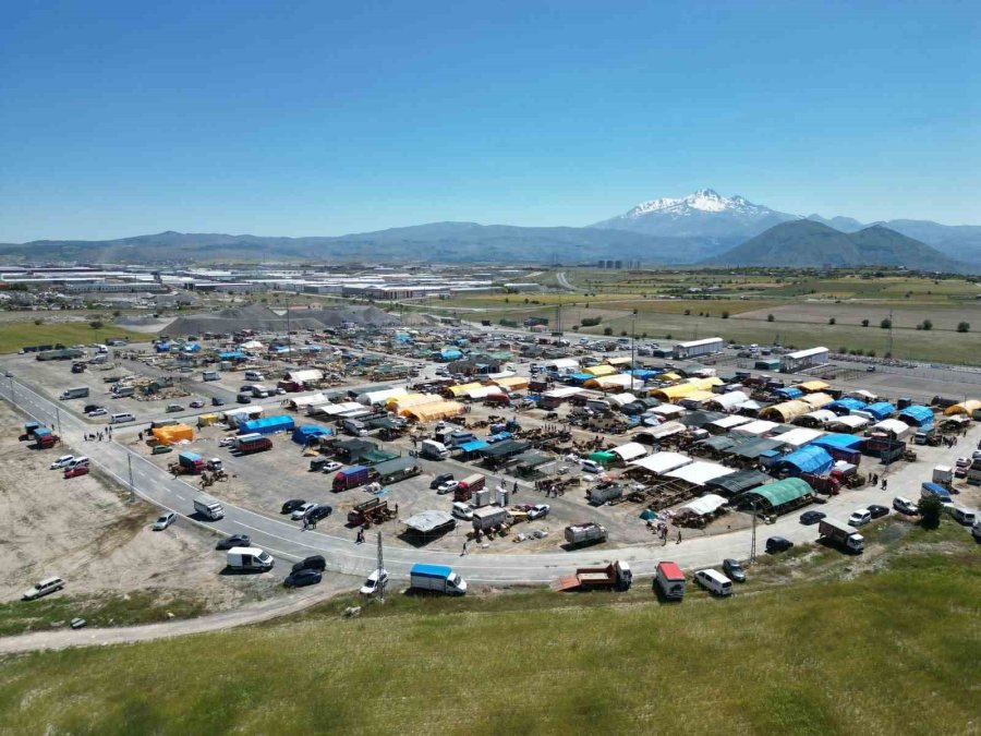 Başkan Palancıoğlu Kurban Pazarını İnceledi, Büyükbaş Pazarlığı Yaptı