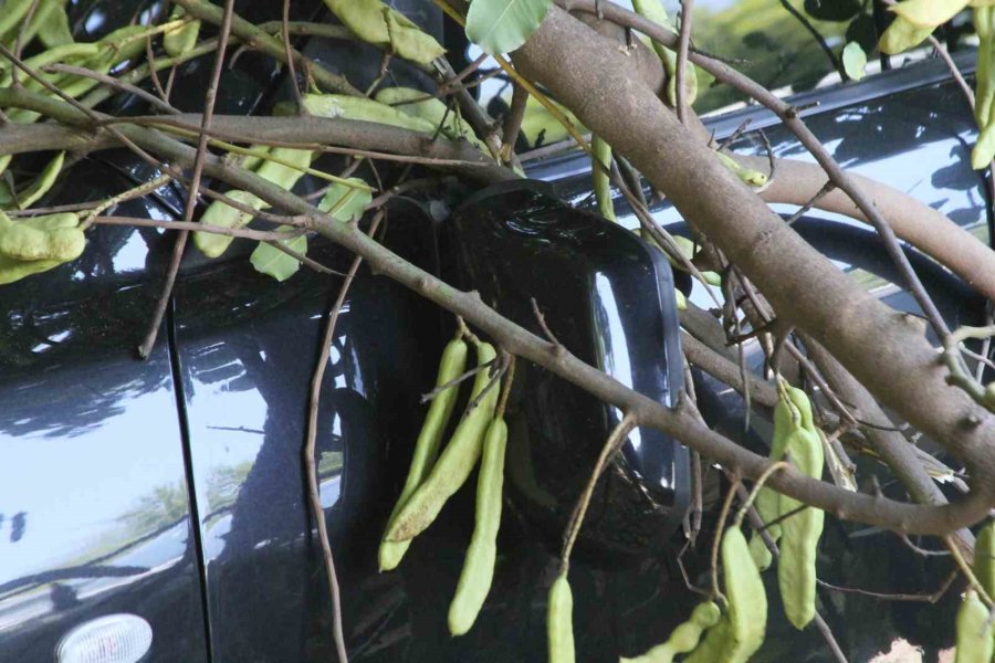 Tatilinin İlk Gününde Denize Girmek İçin Aracını Park Etti, Geri Döndüğünde Gözlerine İnanamadı