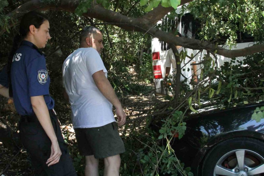 Tatilinin İlk Gününde Denize Girmek İçin Aracını Park Etti, Geri Döndüğünde Gözlerine İnanamadı