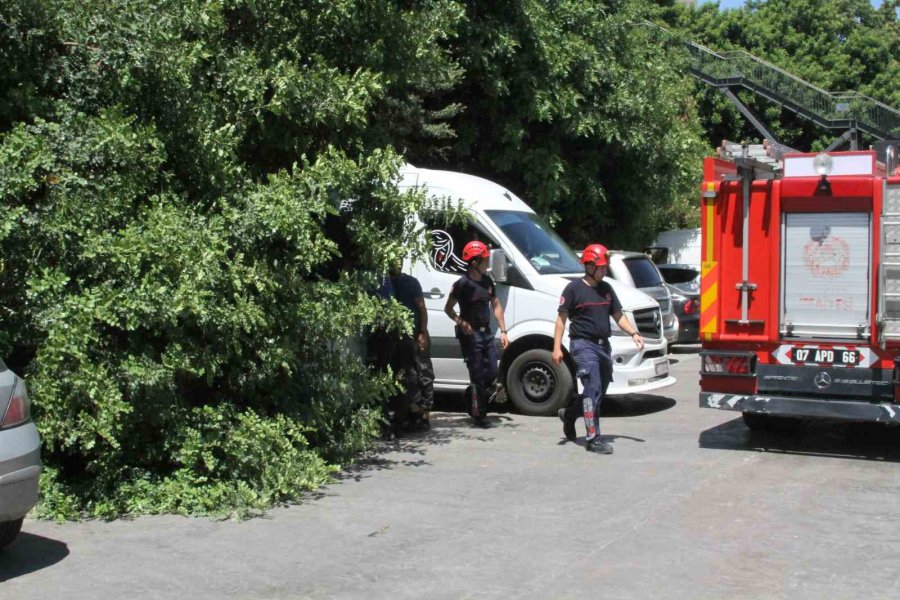 Tatilinin İlk Gününde Denize Girmek İçin Aracını Park Etti, Geri Döndüğünde Gözlerine İnanamadı