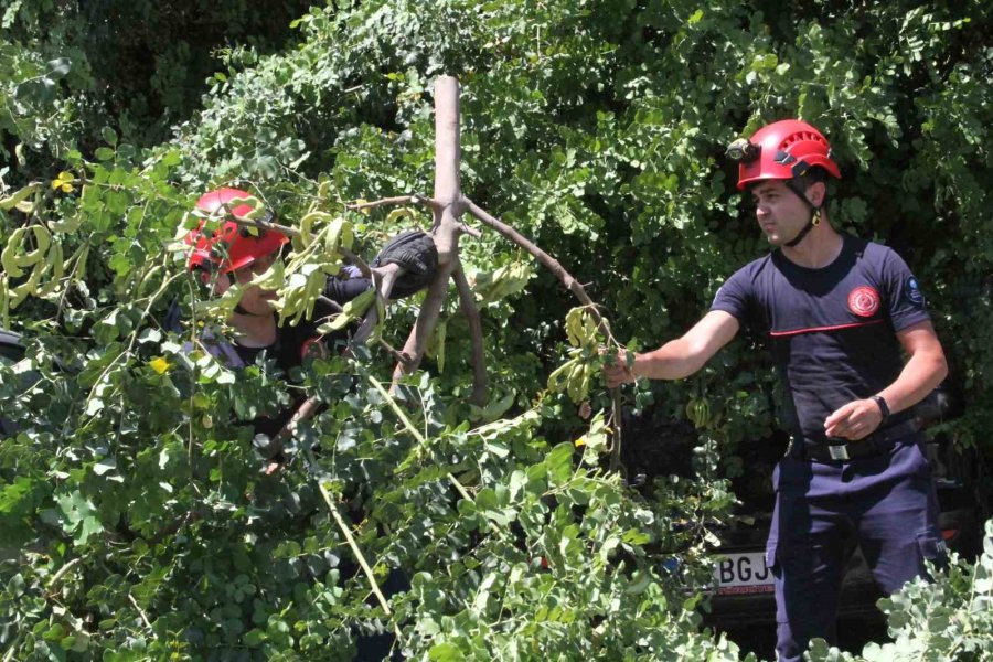 Tatilinin İlk Gününde Denize Girmek İçin Aracını Park Etti, Geri Döndüğünde Gözlerine İnanamadı