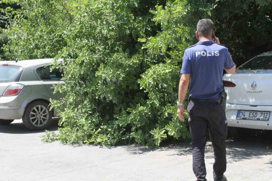 Tatilinin İlk Gününde Denize Girmek İçin Aracını Park Etti, Geri Döndüğünde Gözlerine İnanamadı