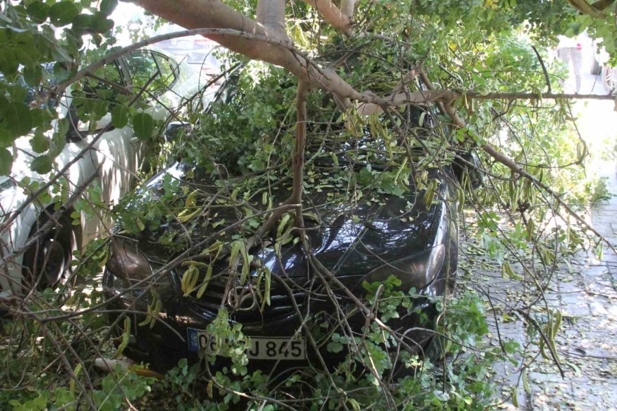 Tatilinin İlk Gününde Denize Girmek İçin Aracını Park Etti, Geri Döndüğünde Gözlerine İnanamadı