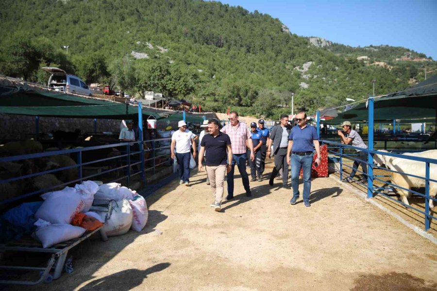 Alanya Belediyesi Kurban Satış Tesisi Kurban Bayramı’na Hazır