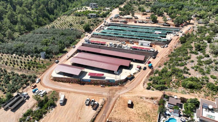 Alanya Belediyesi Kurban Satış Tesisi Kurban Bayramı’na Hazır