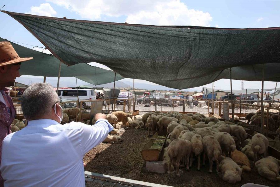 Büyükşehir Kurban Satış Ve Kesim Yerlerinde Tüm Tedbirleri Aldı