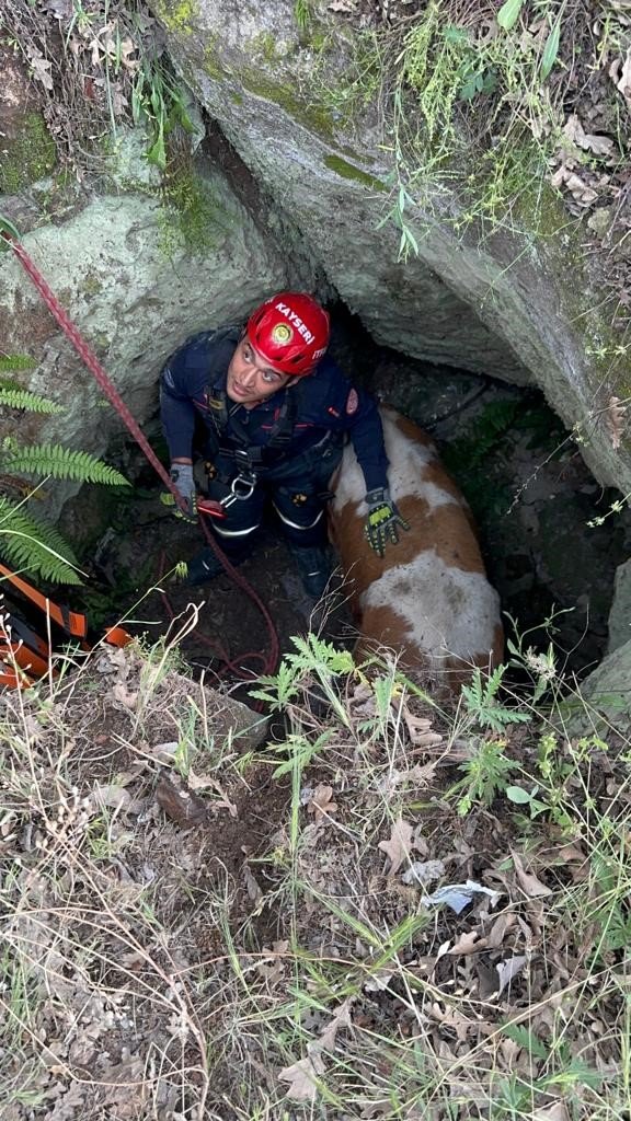 Büyükşehir İtfaiyesi, Kuyuya Düşen Büyükbaş Hayvanı 2 Saatlik Çalışmayla Kurtardı