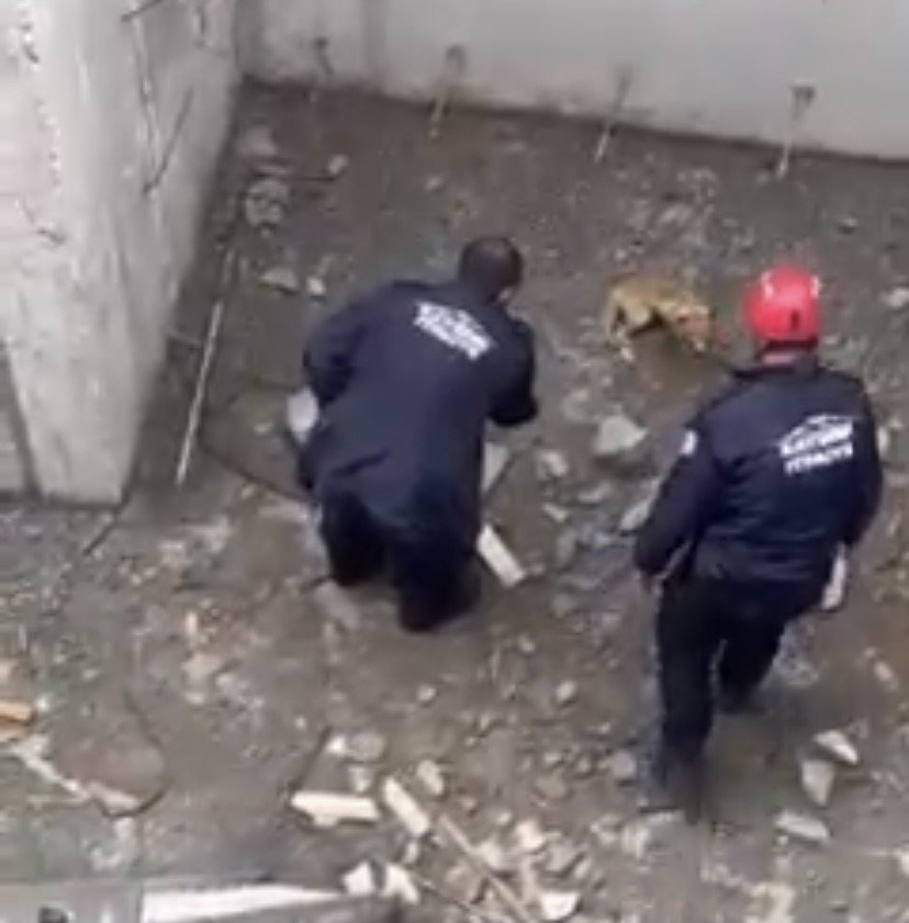 İnşaatın Temeline Düşen Tilkinin Yardımına İtfaiye Yetişti