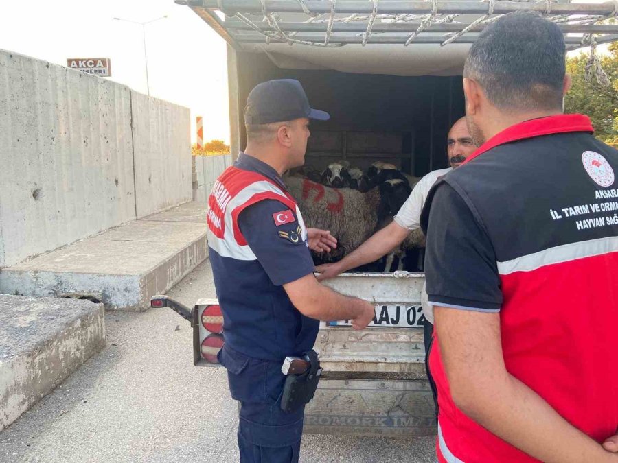 Aksaray’da Sivil Jandarmalar Kurban Teyakkuzunda