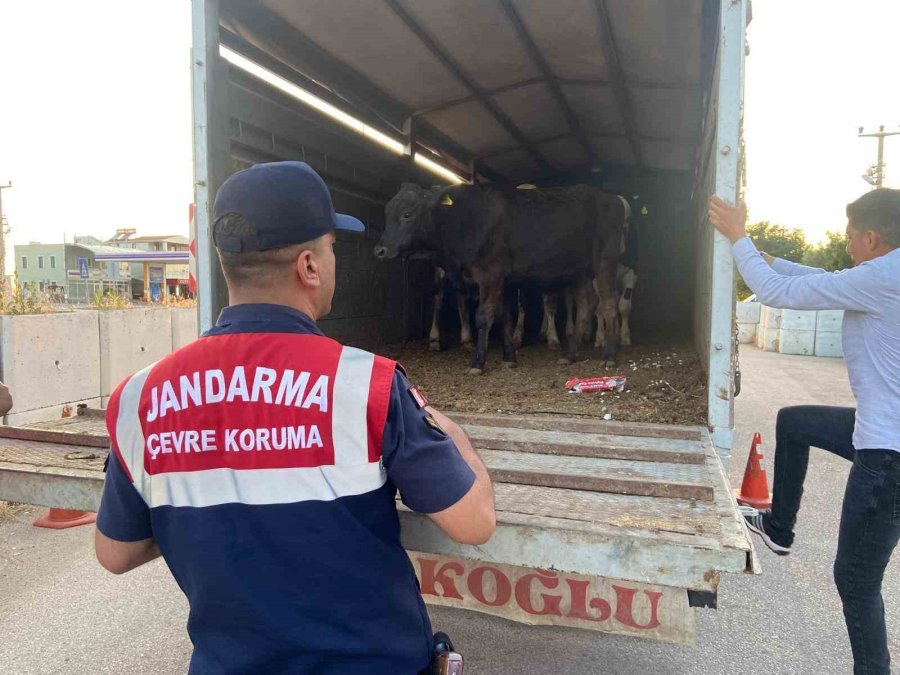 Aksaray’da Sivil Jandarmalar Kurban Teyakkuzunda