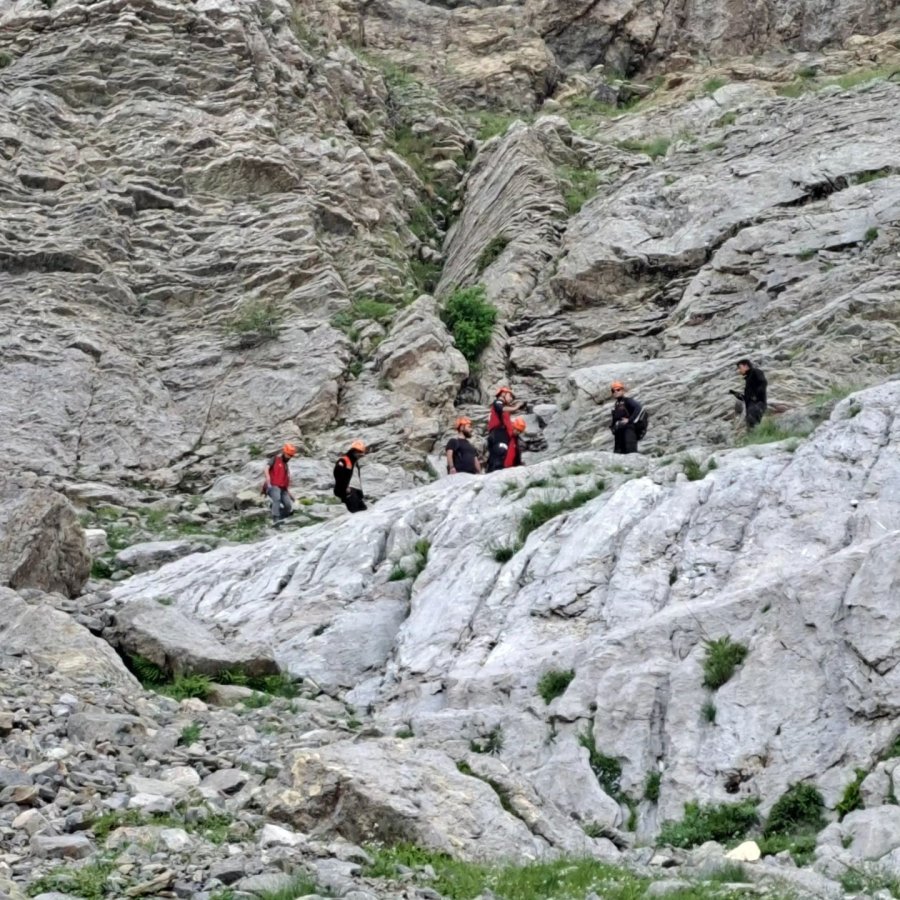 Dağlık Alanda Kayalıklarda Mahsur Kalan Keçilere Kurtarma Operasyonu