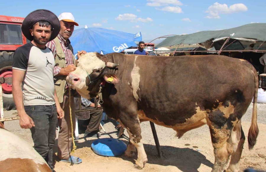 Bayram Yaklaştı Pazarlıklar Kızıştı