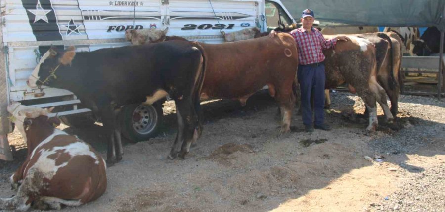 Bayram Yaklaştı Pazarlıklar Kızıştı