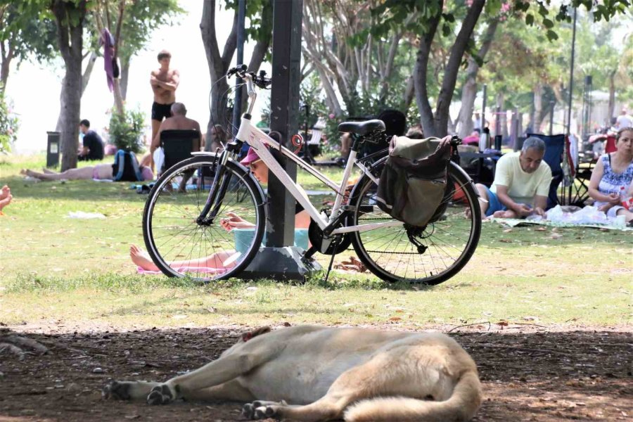 Dünyaca Ünlü Sahil Tatilci Akınına Uğradı, Kalabalığın Arasında Kalan Hintli Kız "kendimi Hindistan’da Gibi Hissediyorum" Dedi