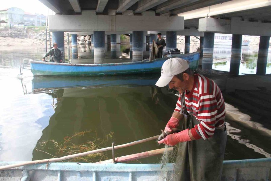 Beyşehir Gölü’nde Av Sezonu Açıldı, Balıklar Tezgahları Süsledi