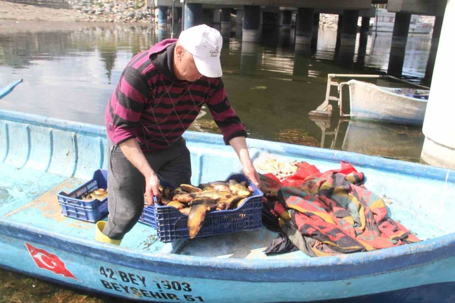 Beyşehir Gölü’nde Av Sezonu Açıldı, Balıklar Tezgahları Süsledi